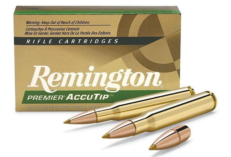 300 Win Mag Remington ACCUTIP